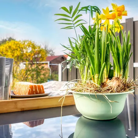 Apartment Hafenstrasse 22a 1 *
