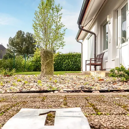 Hafenstrasse 22a 1 Apartment Zingst